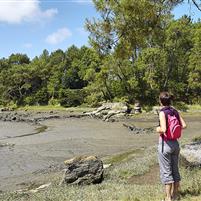 Camping du moulin d'Aurore à Concarneau dans le Finistère
