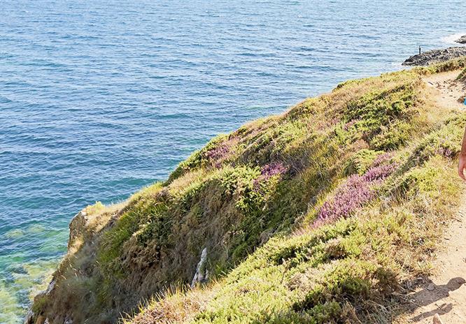 Camping du moulin d'Aurore à Concarneau dans le Finistère