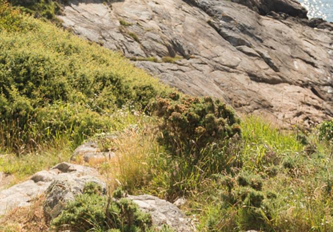 Camping du moulin d'Aurore à Concarneau dans le Finistère